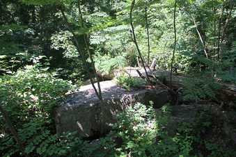 Enlarge photo 37