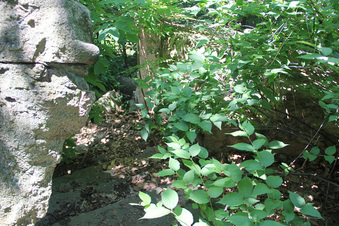 Enlarge photo 38