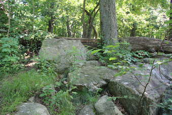 Enlarge photo 40