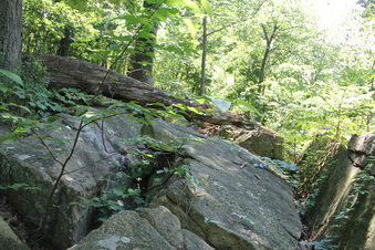 Enlarge photo 41