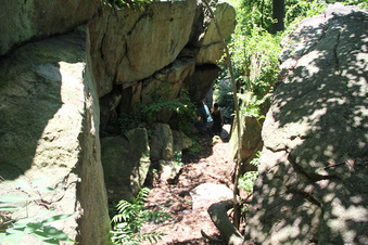 Enlarge photo 43