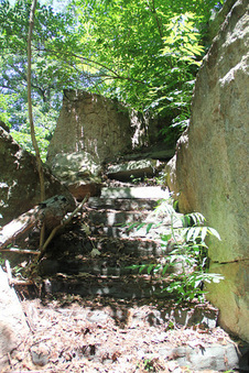 Enlarge photo 46
