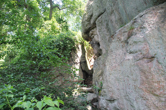 Enlarge photo 50