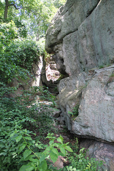 Enlarge photo 54