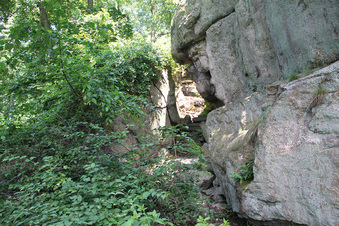 Enlarge photo 55