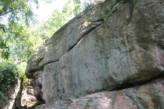Enlarge photo 58
