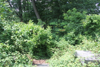 Rockefeller State Park