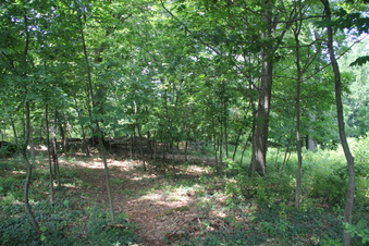 Enlarge photo 2