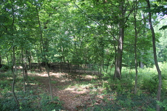 Enlarge photo 3