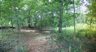 Enlarge photo 5