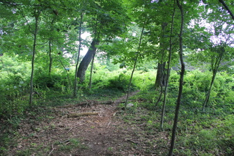 Enlarge photo 8