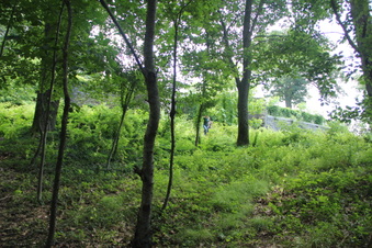 Enlarge photo 10