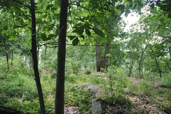 Enlarge photo 11