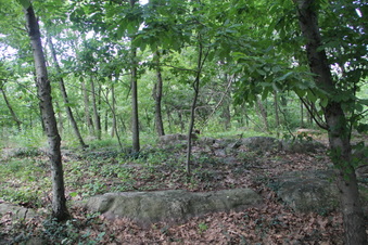 Enlarge photo 13