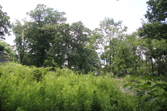Enlarge photo 14