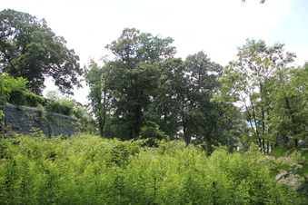 Enlarge photo 15