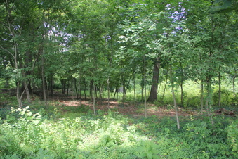 Enlarge photo 17