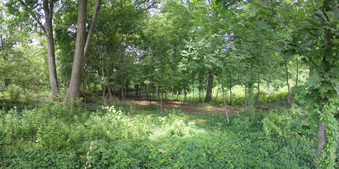 Enlarge photo 18