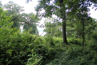 Enlarge photo 19