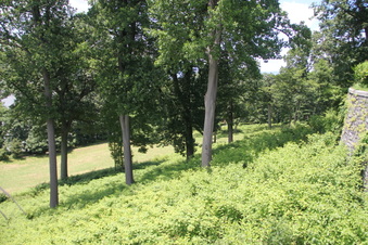 Enlarge photo 20