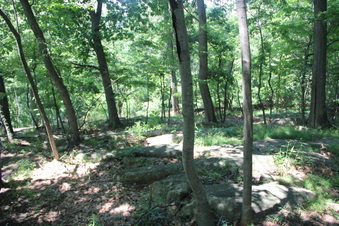 Enlarge photo 21