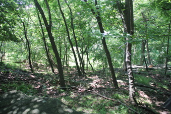 Enlarge photo 22