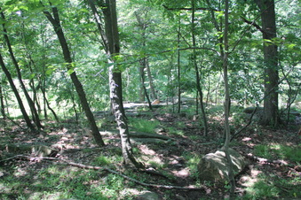 Enlarge photo 23