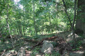 Enlarge photo 25