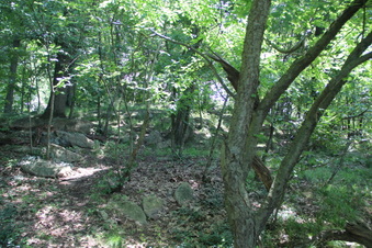 Enlarge photo 27