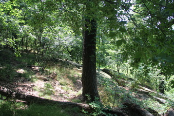 Enlarge photo 28