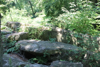 Enlarge photo 29