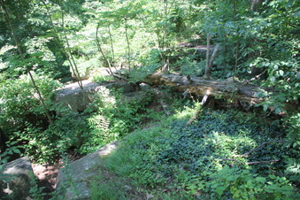 Enlarge photo 30