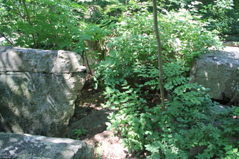 Enlarge photo 31