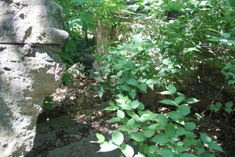 Enlarge photo 33