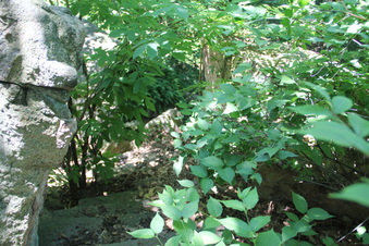 Enlarge photo 34