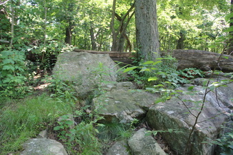 Enlarge photo 35