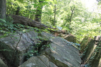 Enlarge photo 36