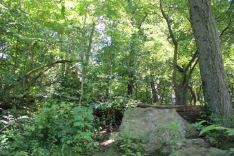 Enlarge photo 37