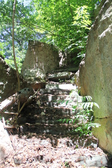 Enlarge photo 41