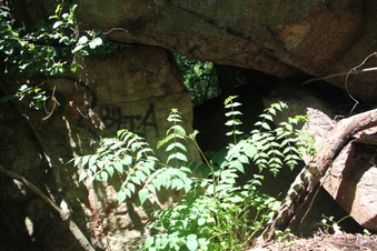 Enlarge photo 42