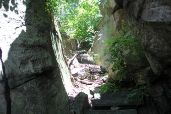 Enlarge photo 44