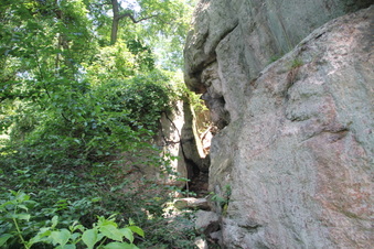 Enlarge photo 45