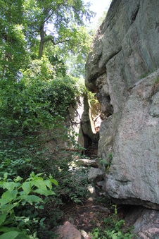 Enlarge photo 46