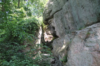 Enlarge photo 47