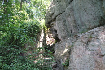 Enlarge photo 48
