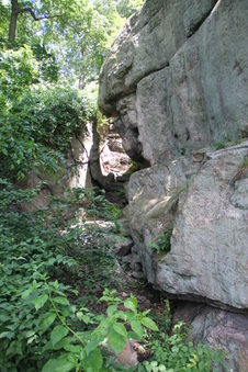 Enlarge photo 49