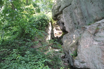 Enlarge photo 51