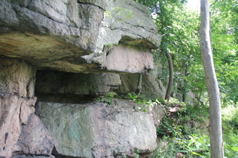Enlarge photo 54