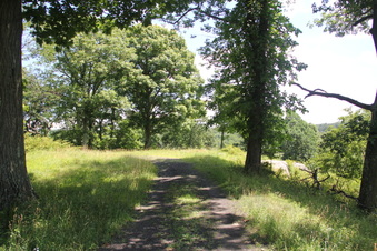 Enlarge photo 55