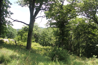 Enlarge photo 56
